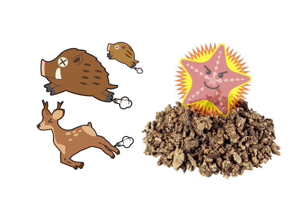 国産ヒトデ100％ いのしかバイバイ！｜開発商品｜健康・美容グッズ等の商品開発・卸売なら株式会社メイダイ